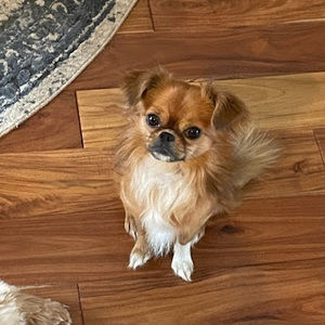 Meet your Posher, Tammy